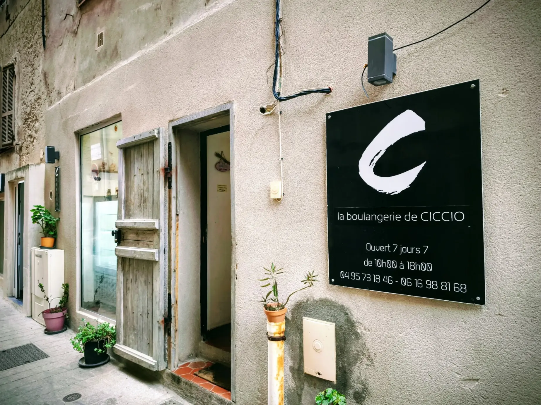 CICCIO