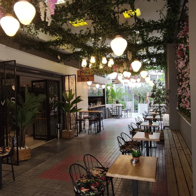 MS ROOF GARDEN